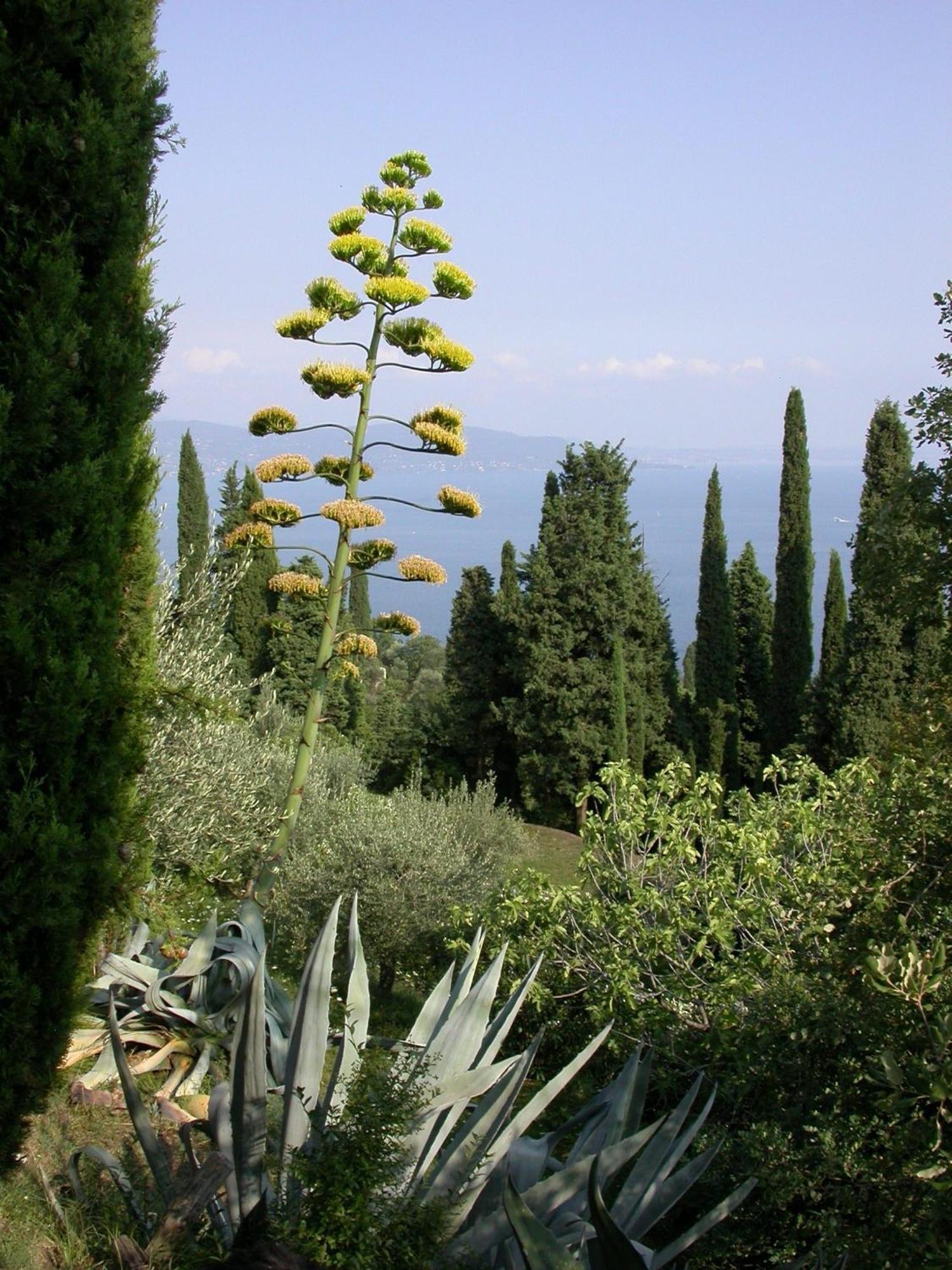 Villa Dimora Bolsone Gardone Riviera Esterno foto