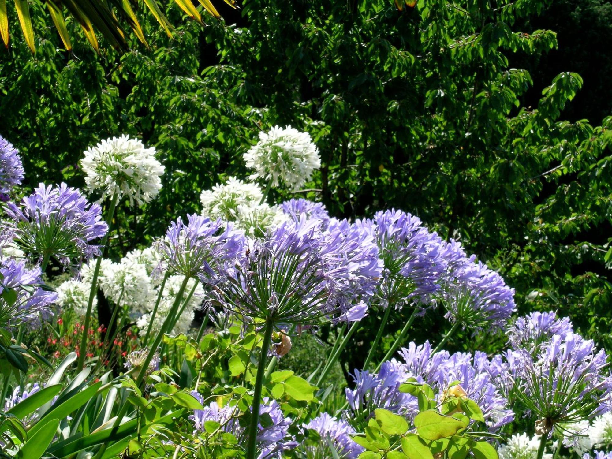 Villa Dimora Bolsone Gardone Riviera Esterno foto