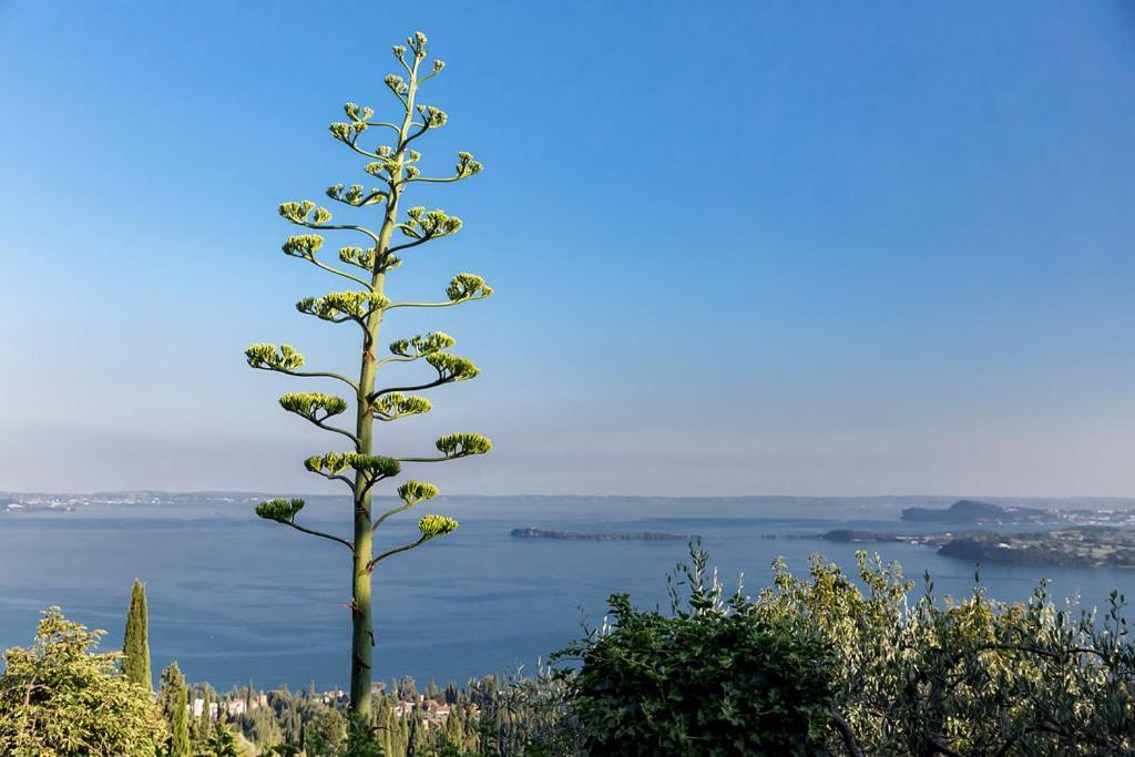 Villa Dimora Bolsone Gardone Riviera Esterno foto