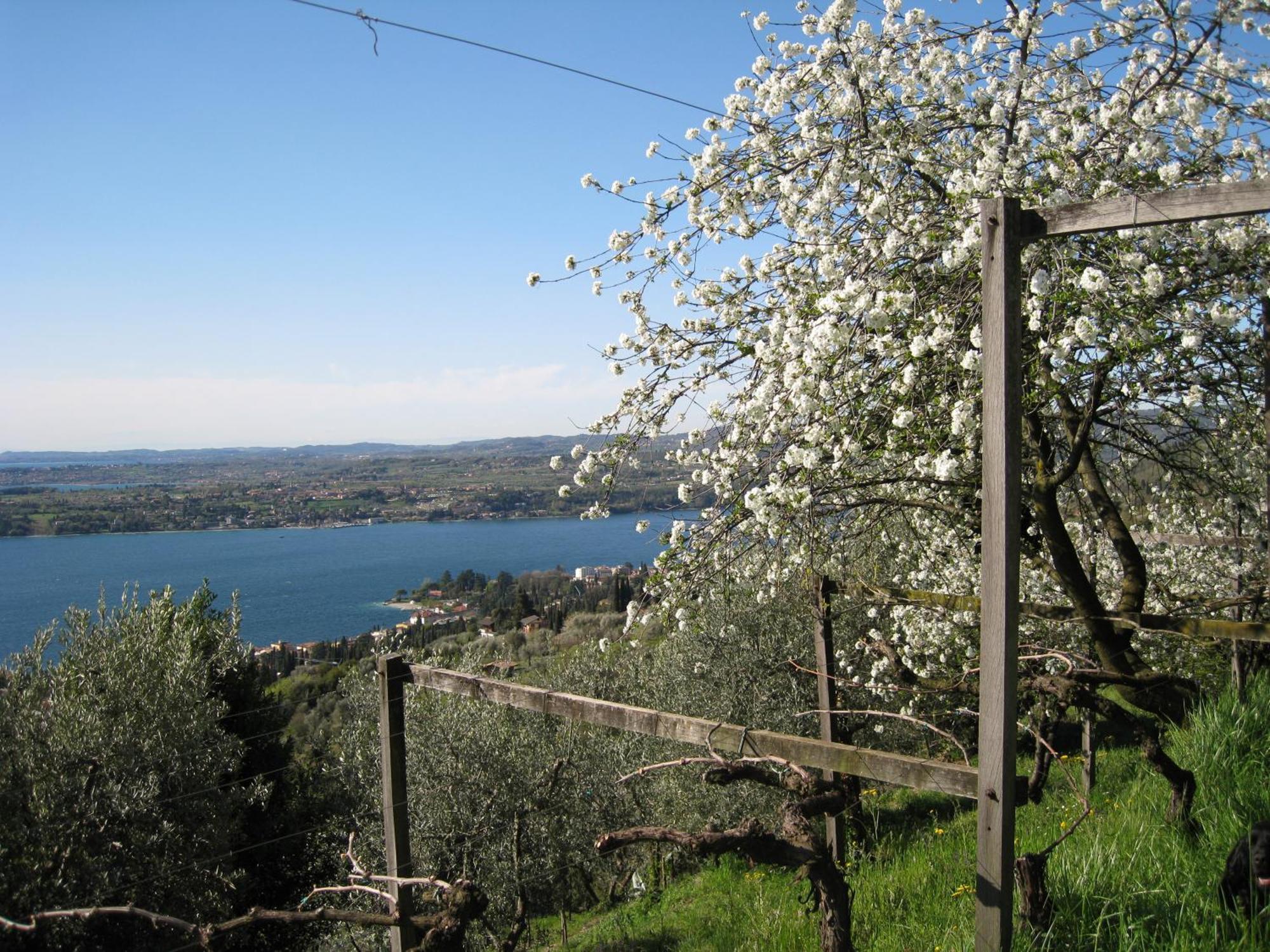 Villa Dimora Bolsone Gardone Riviera Esterno foto