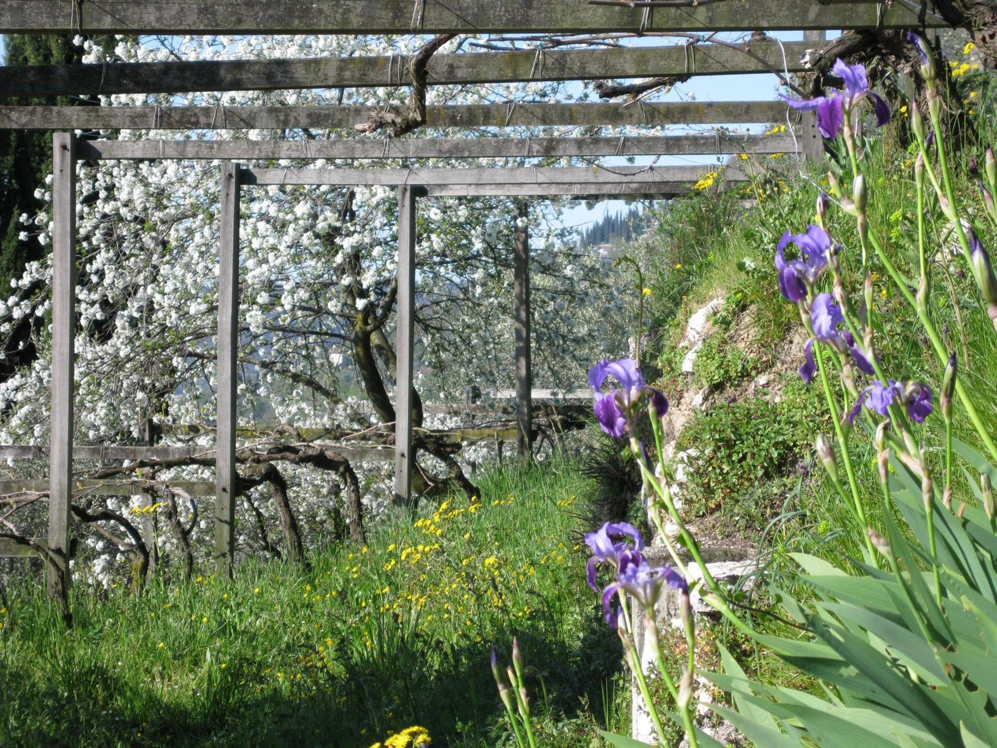 Villa Dimora Bolsone Gardone Riviera Esterno foto